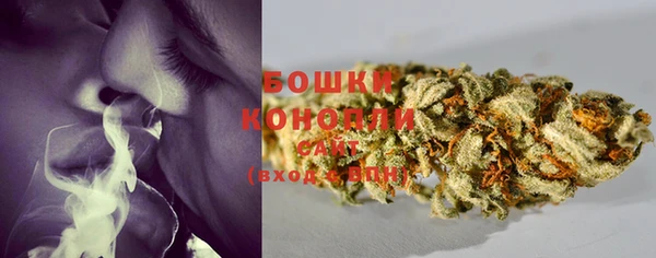 прущие грибы Алексеевка