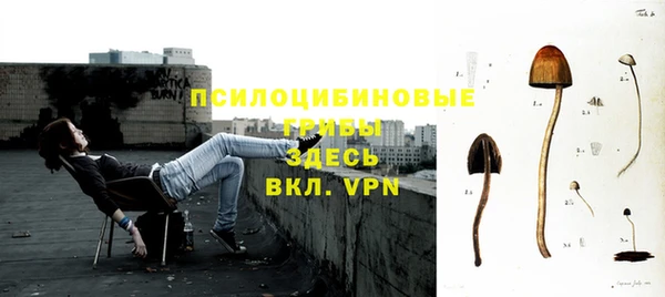 прущая мука Алзамай