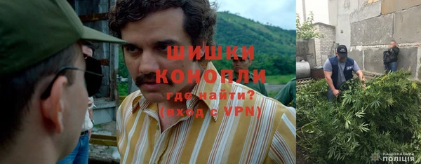 прущие грибы Алексеевка