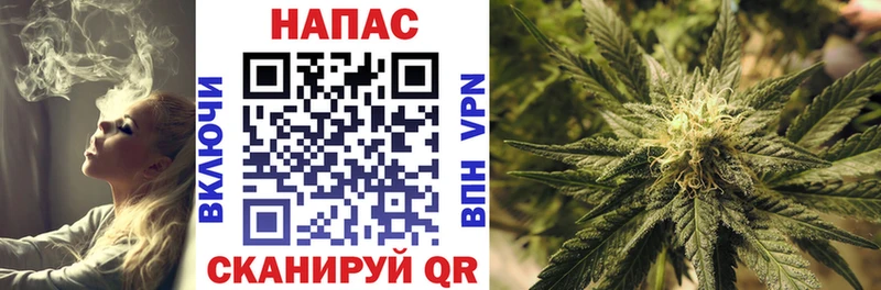 как найти закладки  Анива  Бошки марихуана планчик 